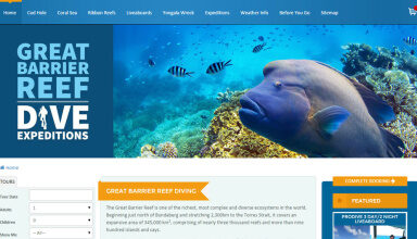 67Za1Ddl5Fi9Ob 384X220