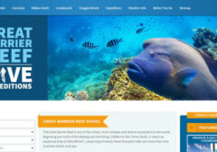 67Za1Ddl5Fi9Ob 384X220