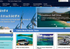 T1Nljl96Wkfuii 384X220